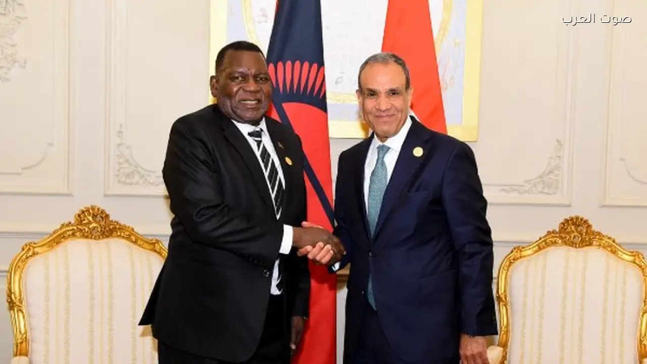 وزير الخارجية يؤكد أهمية تعزيز التعاون الاقتصادي مع مالاوي