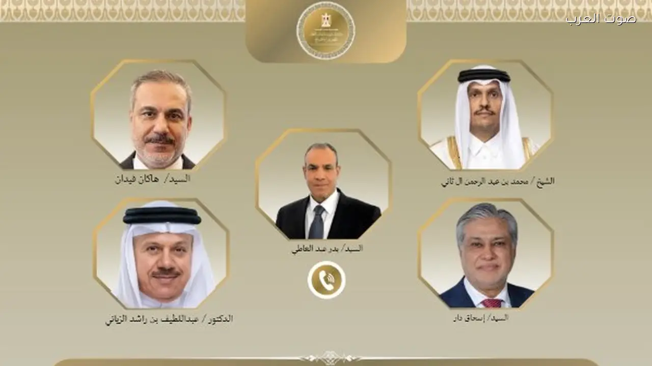 وزير الخارجية يحذر تركيا وباكستان من عواقب التصعيد