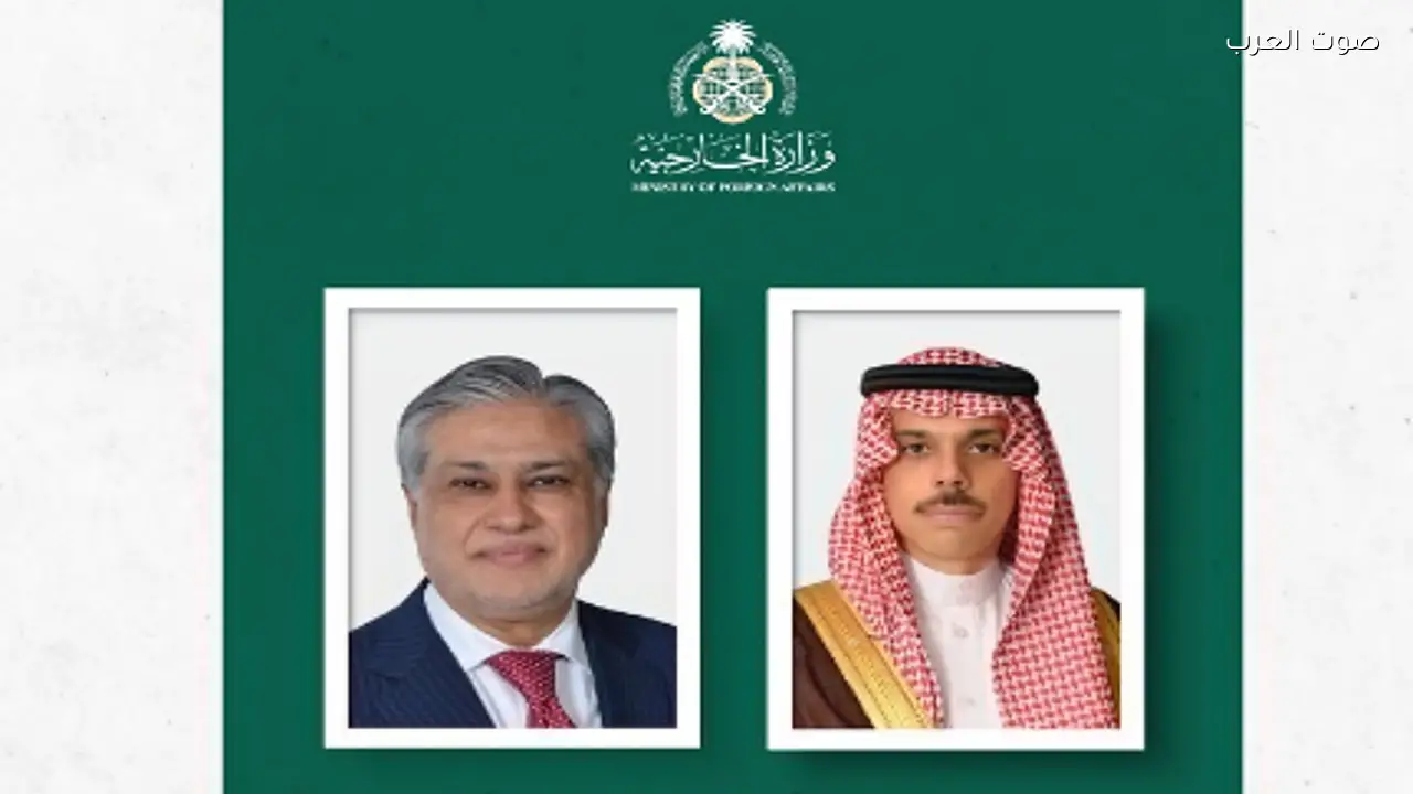 وزير الخارجية يناقش الأوضاع الإقليمية مع نظيره الباكستاني