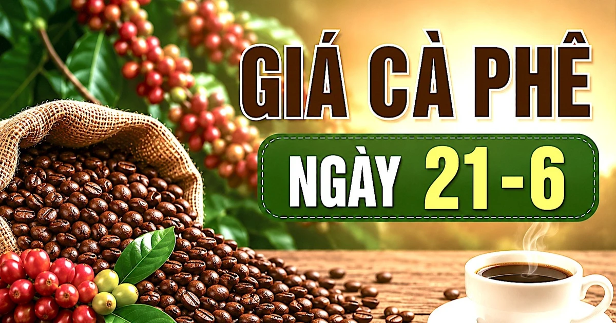 21 Juni: Harga kopi domestik tetap stabil di level tinggi.