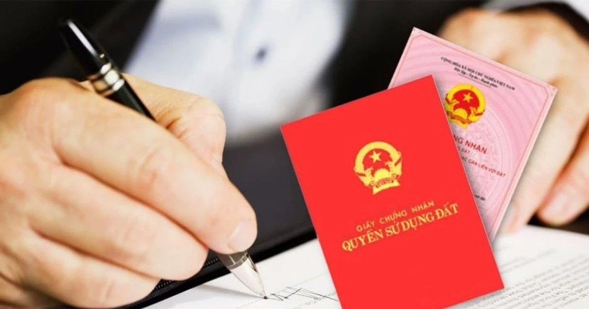 6 cas de révocation de certificats de titres fonciers en vertu de la loi foncière de 2024