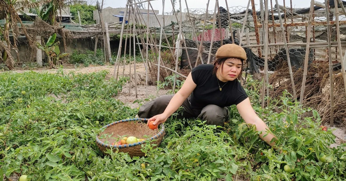 Cô giáo của những mầm xanh nơi đầu sóng