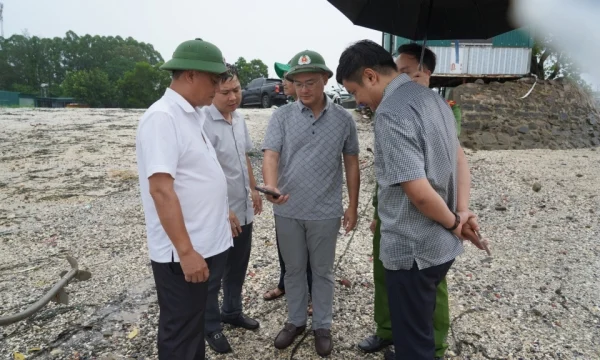 Inspeccionando la situación del cultivo de ostras en el distrito de Mong Cai 1.