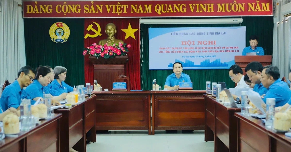 Konfederasi Buruh Umum Vietnam (VGCL) melakukan survei mengenai implementasi Resolusi 6a di Konfederasi Buruh Provinsi Gia Lai.