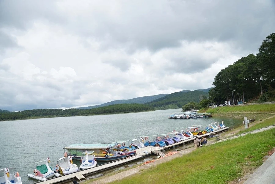 Lam Dong: Meningkatkan kesadaran akan perlindungan lingkungan, mengupayakan pariwisata berkelanjutan.