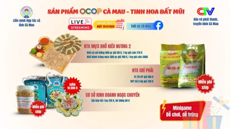 OCOP-Livestream-Sitzung am 25. Juni 2026