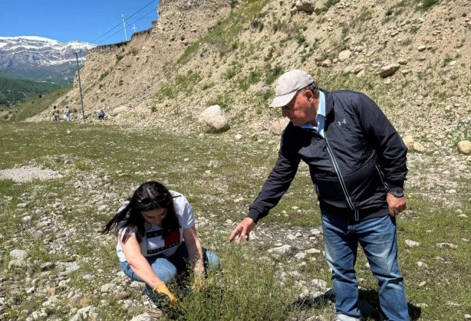 Quba və Qusar rayonlarında floristik tədqiqatlar aparılıb