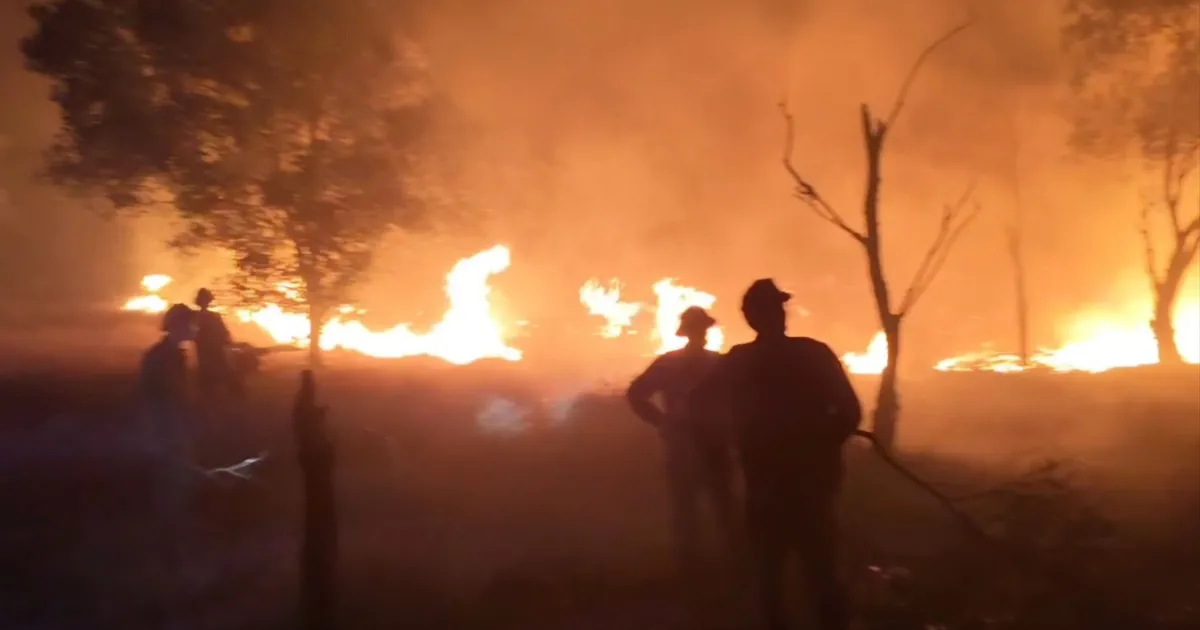 Ratusan orang bekerja sepanjang malam untuk memadamkan kebakaran hutan di pesisir Quang Tri.