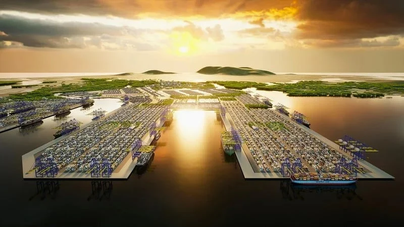 TP.HCM chuyển gần 20ha rừng để thực hiện dự án cảng tổng hợp và container Cái Mép Hạ