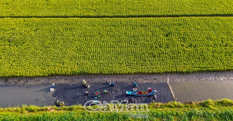 Thoi Binh – Eine Reise der Entwicklung