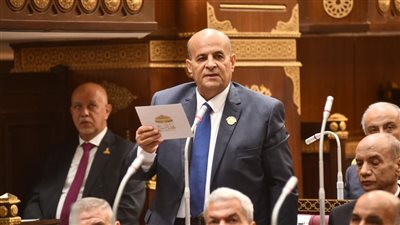 أحمد الجهمي لـ تحيا مصر: 12 مليار دولار استثمارات مصرية بأفريقيا تعكس قوة الدولة.. وسد جوليوس نيريري في تنزانيا شاهد على عمق العلاقات