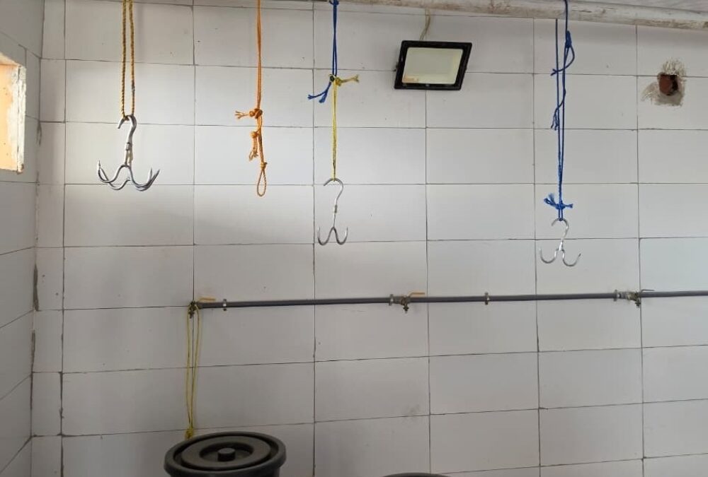 أمانة جدة تضبط منزلًا سكنيًا بالرويس يستغل مسلخًا ومستودعًا لأغذية فاسدة