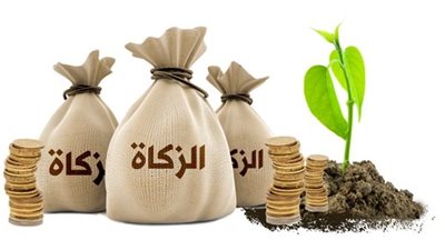 أمين الفتوى بدار الإفتاء المصرية: يجوز للمرأة إخراج زكاة مالها لزوجها الفقير والعكس غير صحيح