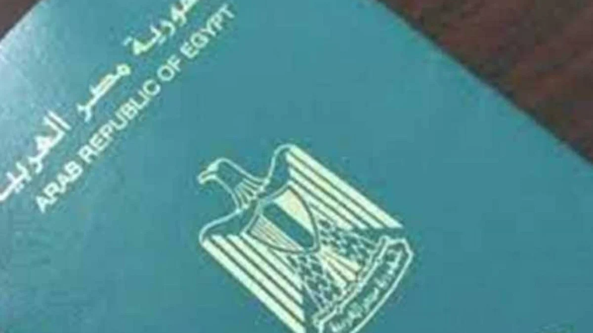 «إبعاد خارج البلاد».. قرار مهم من وزير الداخلية بشأن 84 مصريًا ومواطنين من جنسيات أخرى