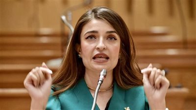 إيرين سعيد: نرفض خطة الموازنة 2026/2027 لاعتمادها على بيانات قديمة وتضع التعليم أخر أولوياتها