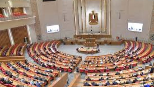 نواب يؤكدون أهمية التوسع في تنفيذ منظومة الرعاية الاجتماعية والتأمين الصحي الشامل