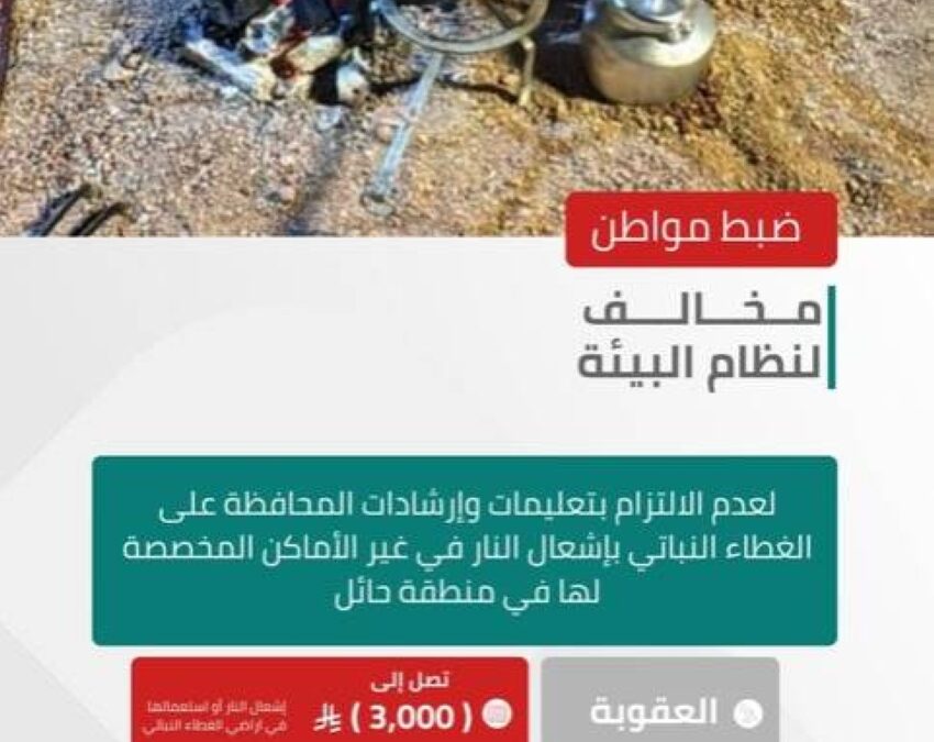 الأمن البيئي يضبط مخالفًا لنظام البيئة في منطقة حائل