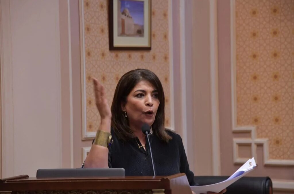 البرلمان يُحيل مشروع مقدم من نائبة التجمع لـ”إنشاء نقابة الآثريين” للمناقشة باللجان المختصة