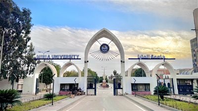 التعليم العالي: الجامعات المصرية حققت قفزات ملحوظة على خريطة التصنيفات الدولية
