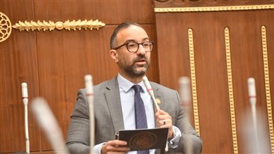 الحمامصي: نعتز بحاملي الماجستير والدكتوراه.. ولكن الشهادة ليست تذكرة عبور إلى الوظيفة الحكومية