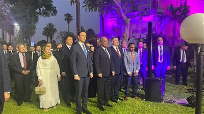 الكهرباء: العلاقات المصرية الروسية تاريخية وراسخة وممتدة
