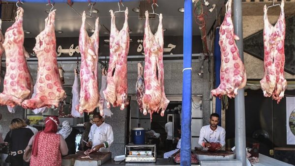 اللحوم تتراجع في الأسواق اليوم.. انخفاض الضاني والبتلو والكندوز