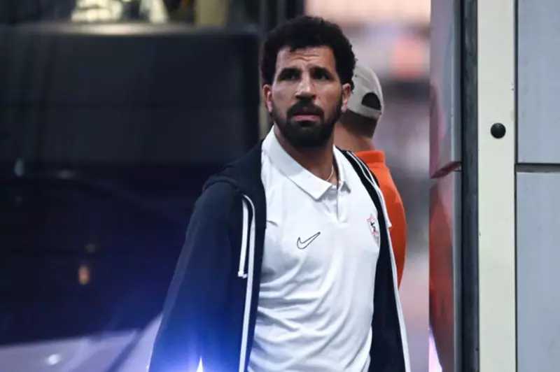 المهدي سليمان: سعيد بأداء مصطفى شوبير أمام بلجيكا.. وأشكر الزمالك