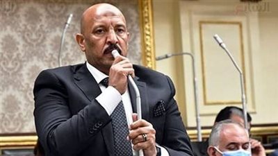 النائب أحمد الحديدي: المواطن لا يشعر بآثار المنح والاتفاقيات