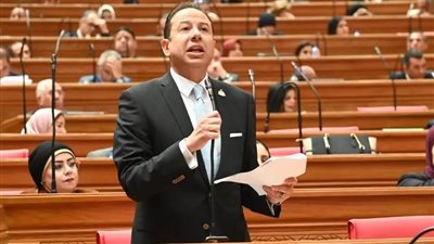 النائب حسن عمار لـ تحيا مصر: ولي الأمر هو المسؤول الأول عن مأساة حدائق الأهرام.. ويجب تغليظ العقوبة عليه