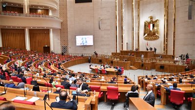 النائب شريف باشا يستعرض تقرير اللجنة المشتركة بشأن دعم قطاع الحماية الاجتماعية بمنحة فرنسية بقيمة 2 مليون يورو