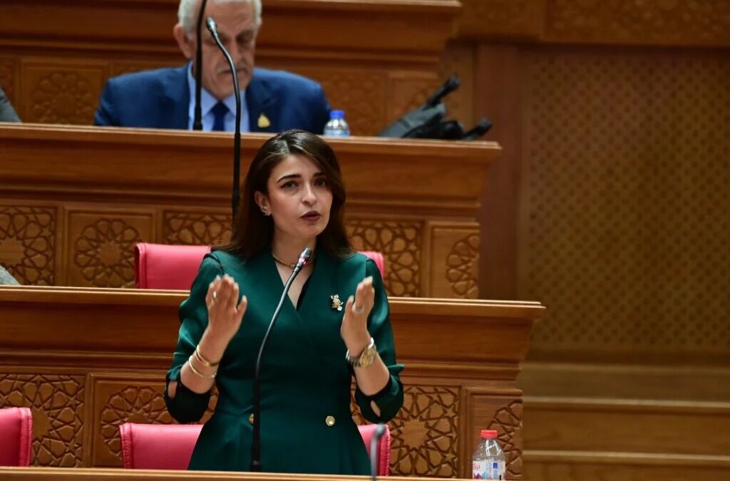 النائبة إيرين سعيد: التعليم آخر أولويات خطة الحكومة