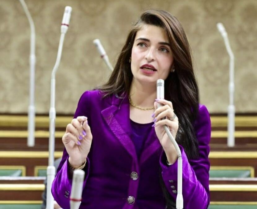 النائبة إيرين سعيد: لا ننكر إنجازات كامل الوزير لكنه أكثر الوزراء اقتراضا