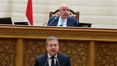 النائبة حنان نصير: اتفاقيات التجارة التفضيلية تعزز الصادرات المصرية.. وضرورة دعم التنافسية والخدمات اللوجستية