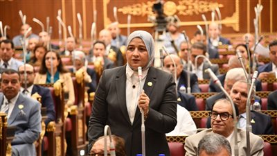 النائبة مروة قنصوه: مشاركة الرئيس السيسي في قمة مجموعة السبع تعكس المكانة الدولية المتنامية لمصر وثقة العالم في رؤيتها التنموية