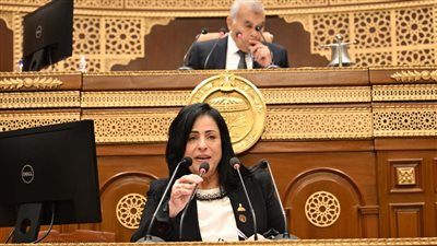 النائبة ميرال الهريدي: مشاركة مصر في قمة السبع يعزز حضورها الدولي ويعكس ثبات مواقفها الإقليمية
