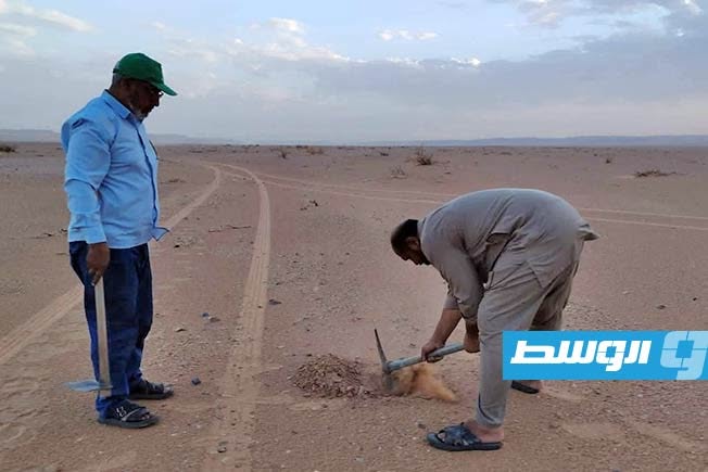 انطلاق مبادرة «سوكنة» لمكافحة التصحر