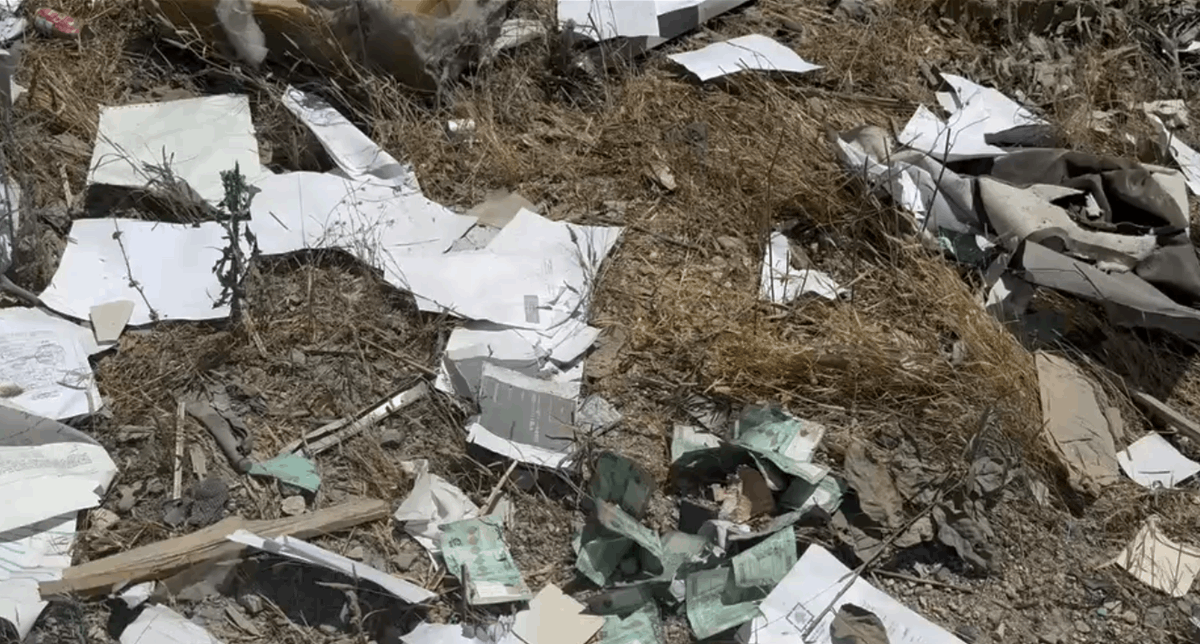 بالفيديو.. أوراق نقدية لبنانية متناثرة في الجنوب