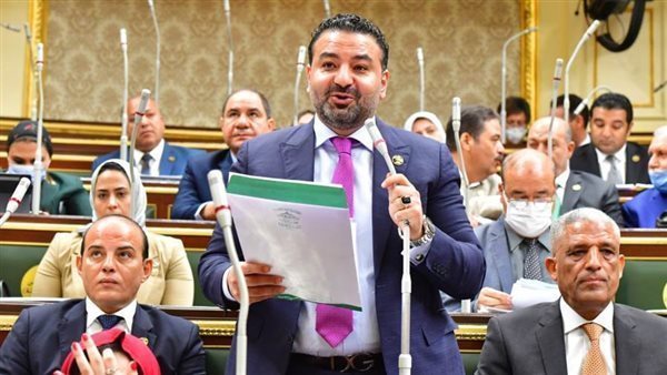 برلماني: تطوير منظومة الحماية الاجتماعية يعكس اهتمام الدولة بدعم الأسر الأولى بالرعاية
