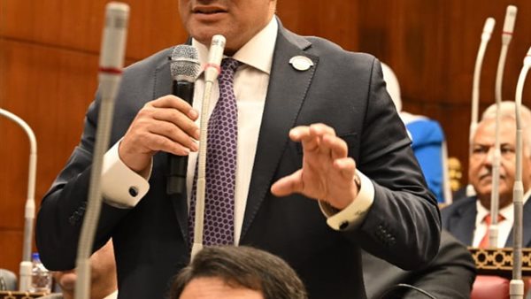 برلماني: مشاركة الرئيس السيسي في قمة G7 تعكس الثقة الدولية في دور مصر المحوري