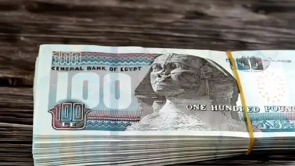 بقرار حكومي.. بشرى سارة لـ4.5 مليون موظف خلال أيام وتفاصيل الزيادة الجديدة 2026
