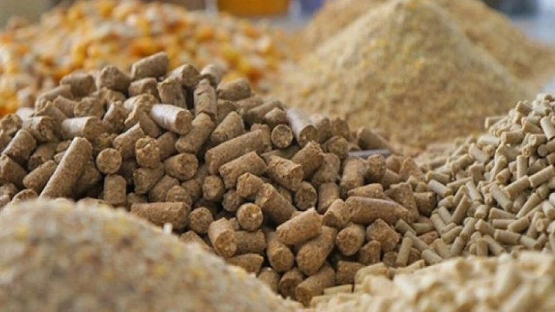 تراجع أسعار الأعلاف اليوم.. كسب الصويا يهبط إلى 21.2 ألف جنيه للطن