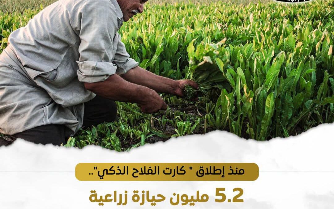 تسجيل 5.2 مليون حيازة إلكترونيًا وتغطية أكثر من 7 ملايين فدان ضمن منظومة “كارت الفلاح الذكي”