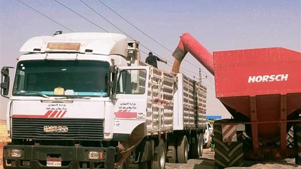 توريد 158 ألف طن قمح حتى الآن بأسوان