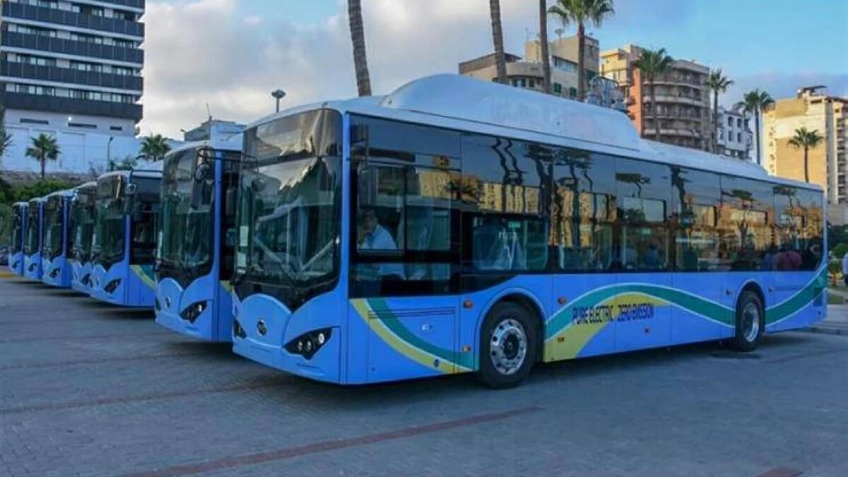 توسيع شبكة النقل العام وتشغل خط «محرم بك– البيطاش» دعمًا لمنظومة النقل الأخضر بالإسكندرية