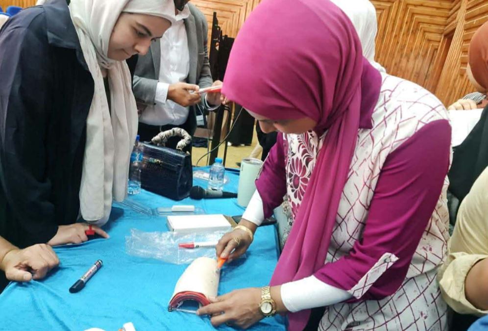 جامعة كفر الشيخ والمجلس الصحي المصري ينظمان ورشة عمل عن الأدلة الاسترشادية للولادة الآمنة