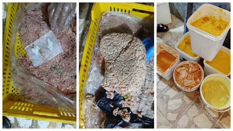 حملات مكثفة تكشف مخالفات غذائية ضخمة في الإسكندرية (صور)