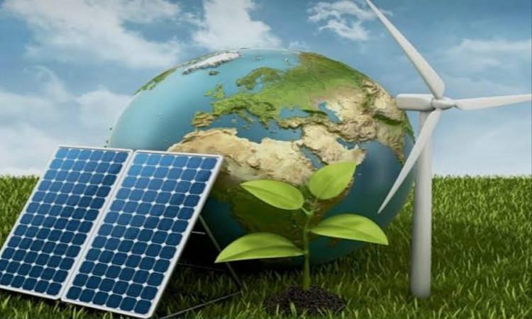 خبير تنمية: الحكومة تستهدف رفع نسبة الاستثمارات الخضراء إلى 50%