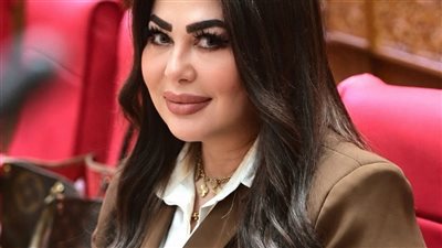 خلال اجتماع لجنة الطاقة.. النائبة ولاء الصبان تدعو إلى مراجعة قرار إلغاء شرائح العدادات الكودية حفاظًا على العدالة الاجتماعية