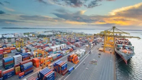 رئيس هيئة الرقابة على الصادرات:  48% من شحنات البضائع يتم الإفراج عنها خلال 24 ساعة