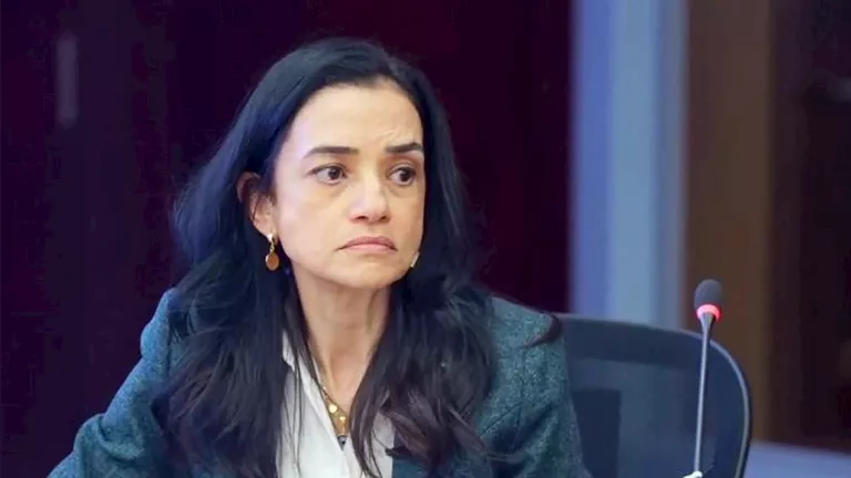 رحاب طه تعيين جديد في منصب مساعد رئيس الرقابة المالية